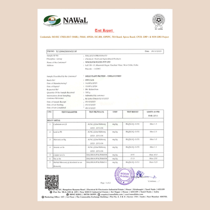 Mille Plant Protein | 31g/Scoop | Unflavoured | Fermented Yeast Protein | No Bloat I Vegan  | 500g